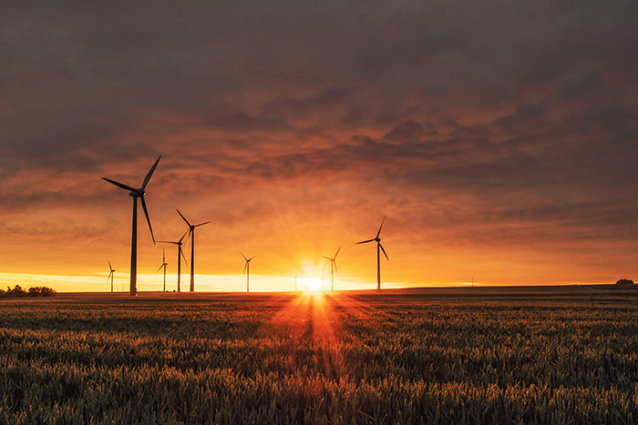 A field of wind turbines.